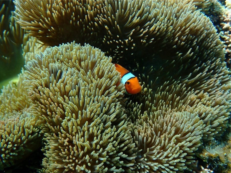 勉強が楽しみに変わった旅行の画像