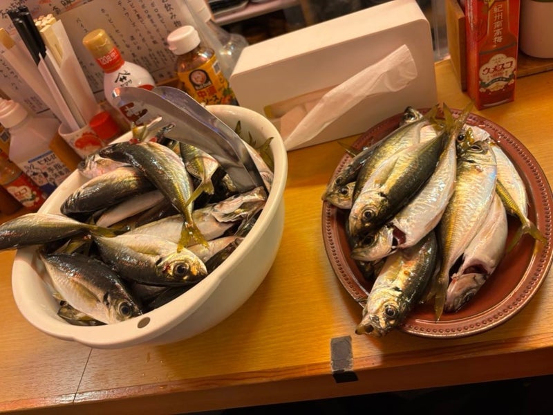 大量に持ち込まれてきた鯵を調理