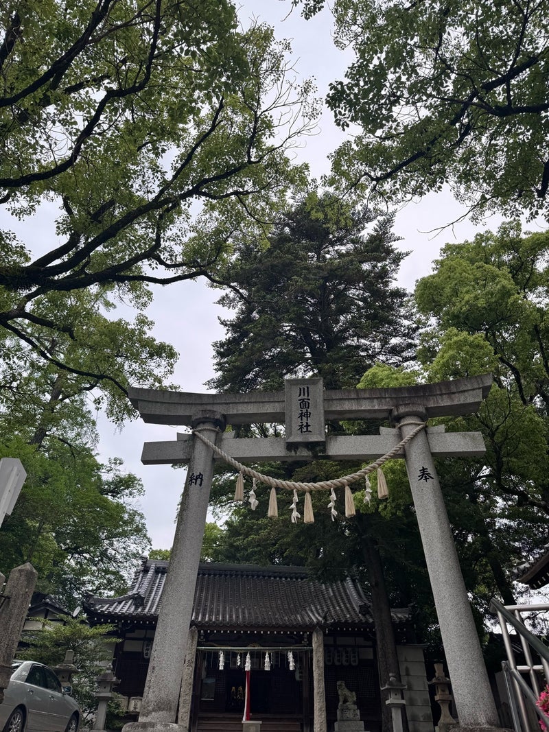 20年以上通い初めて参拝した神社の画像