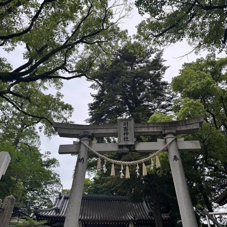 20年以上通い初めて参拝した神社の画像