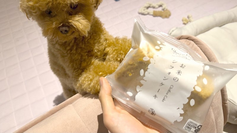 お米のシフォンケーキで迎えた最高の朝の画像