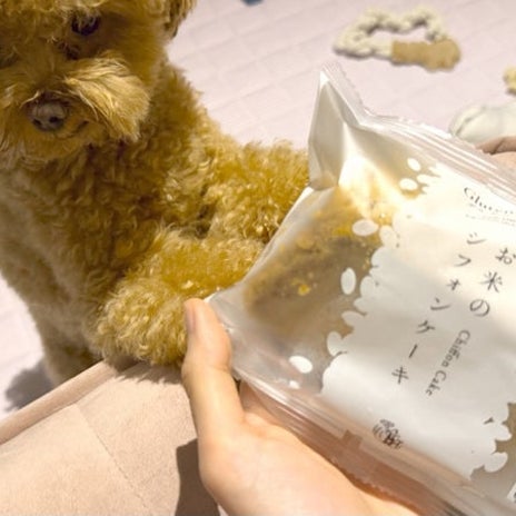 お米のシフォンケーキで迎えた最高の朝の画像