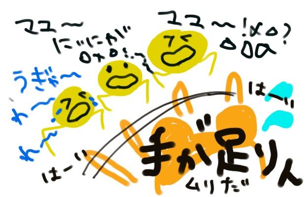 身に染みてわかった助産師の言葉の画像