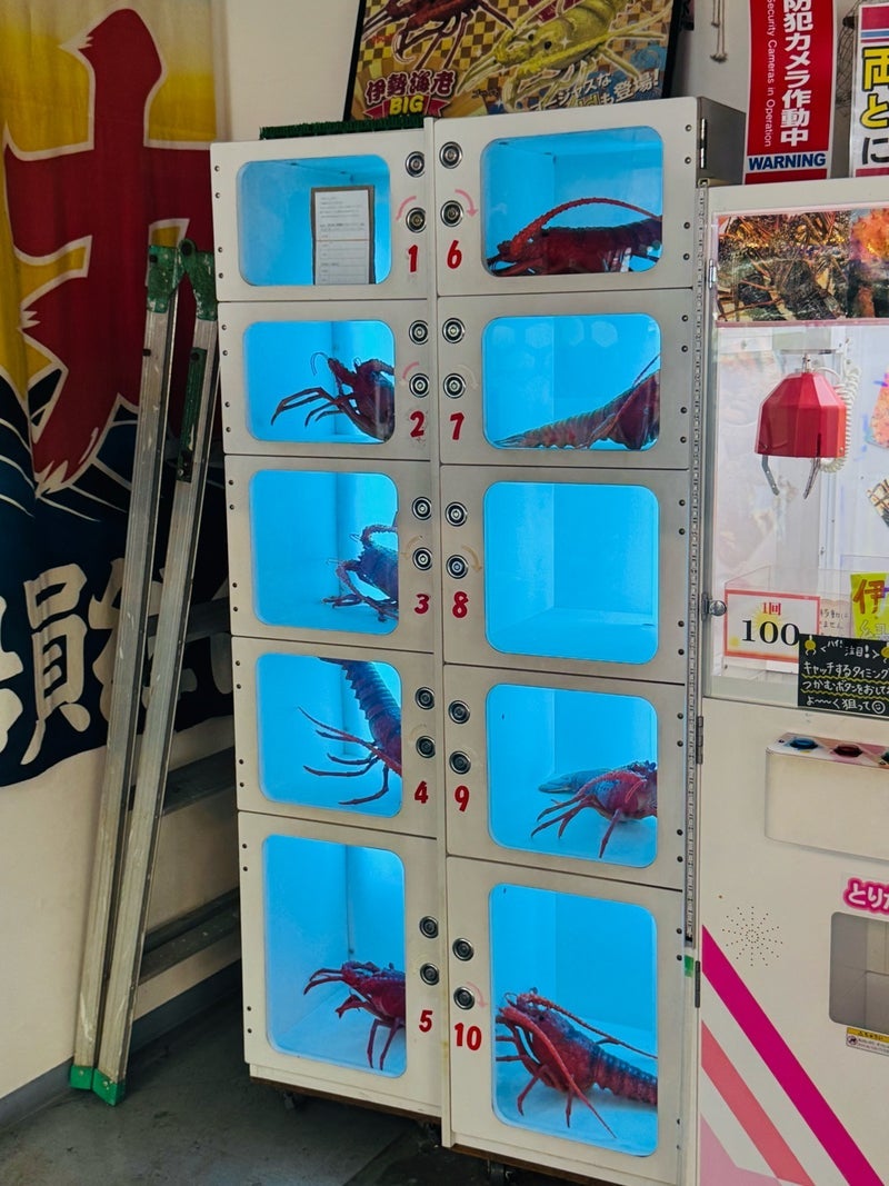 だいた 100円クレーンゲームで全滅の画像