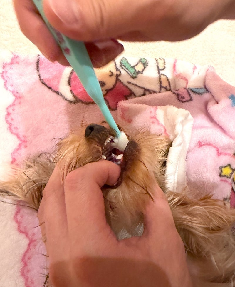 上原さくら 赤ちゃん言葉になってる夫の画像