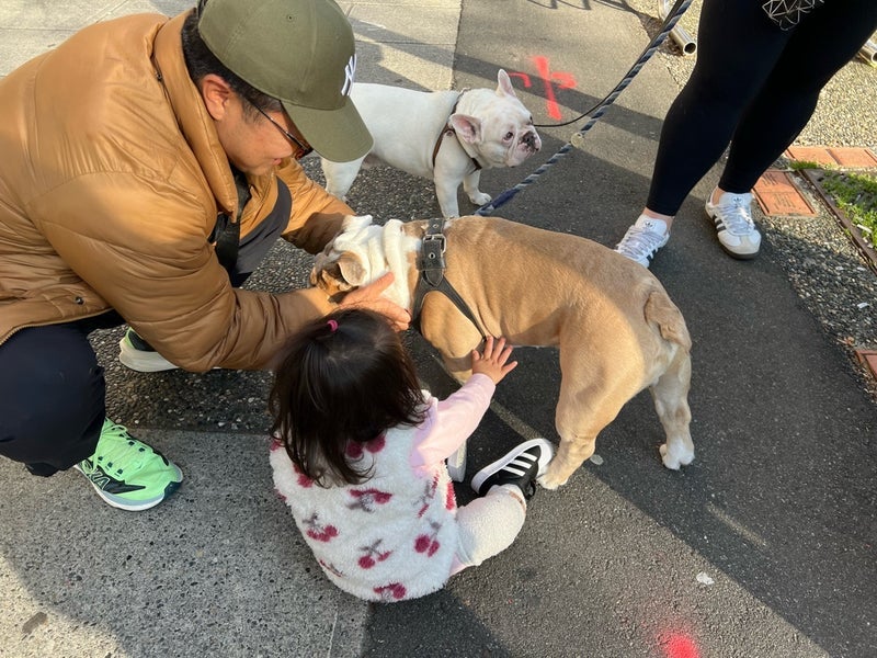 凛 会いたくなった義実家の愛犬