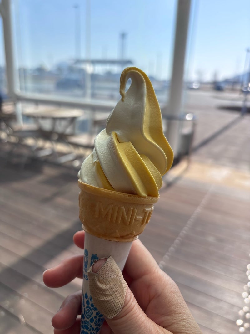 道の駅でご褒美に選んだミニサイズの画像