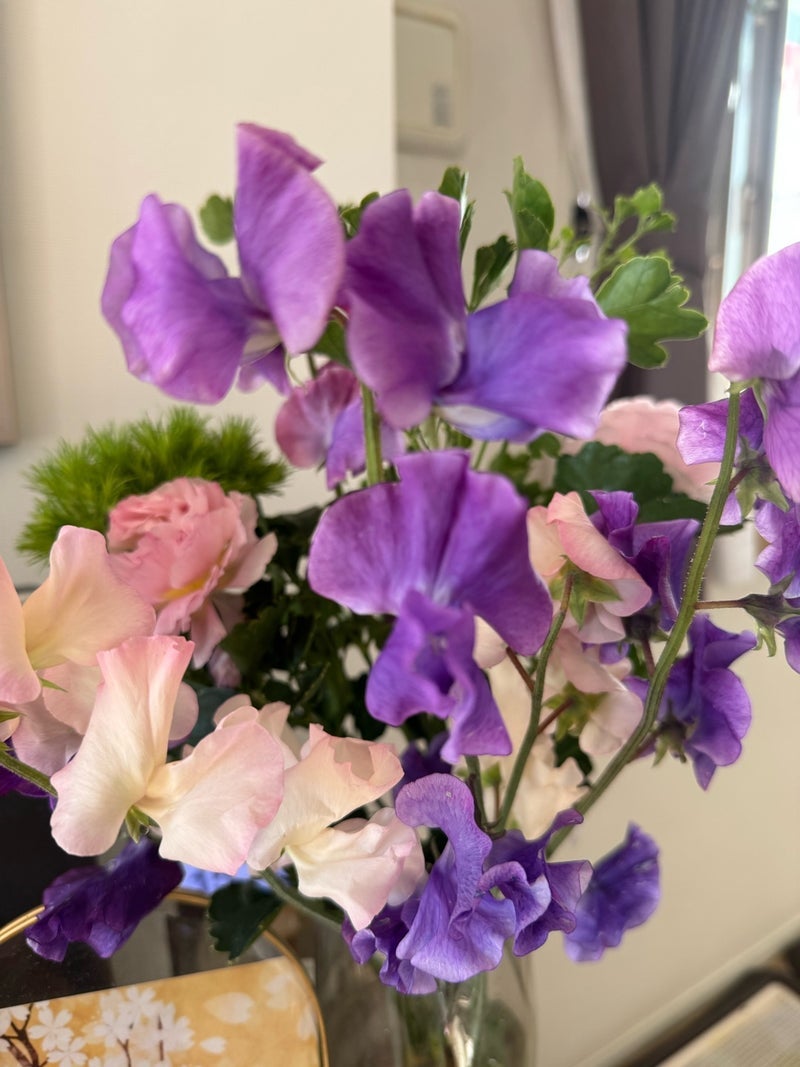 癒されるピンク・パープル系のお花の画像