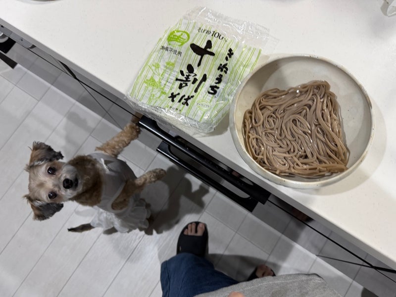 ぷちあや 朝食の海鮮丼で体調不良の画像