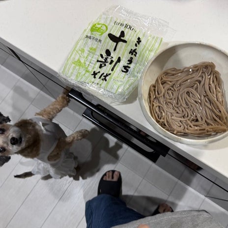 ぷちあや 朝食の海鮮丼で体調不良の画像