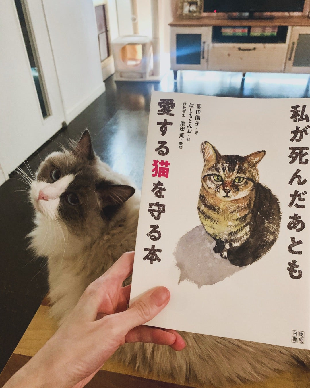 遠野なぎこ想定外だった症状悪化
