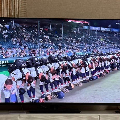 原田龍二の妻 感動で泣いた高校野球の画像