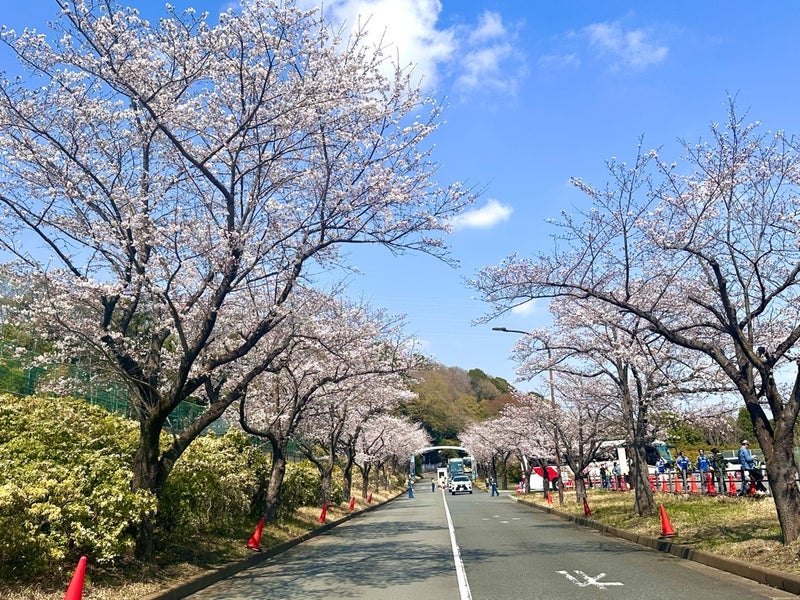 笠井アナ 今季初のサッカー観戦の画像