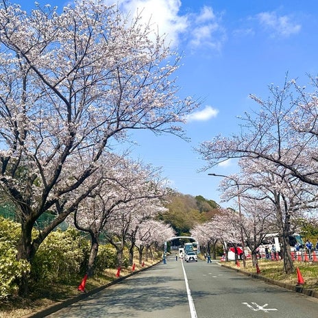 笠井アナ 今季初のサッカー観戦の画像