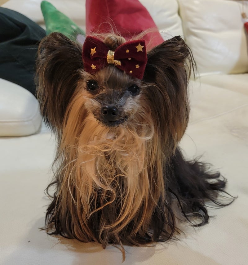 トピックス画像