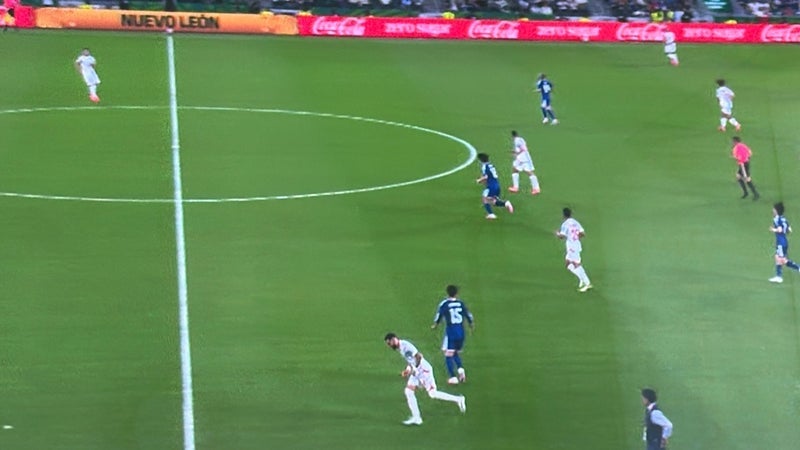 細川直美 W杯チュニジア戦の観戦の画像