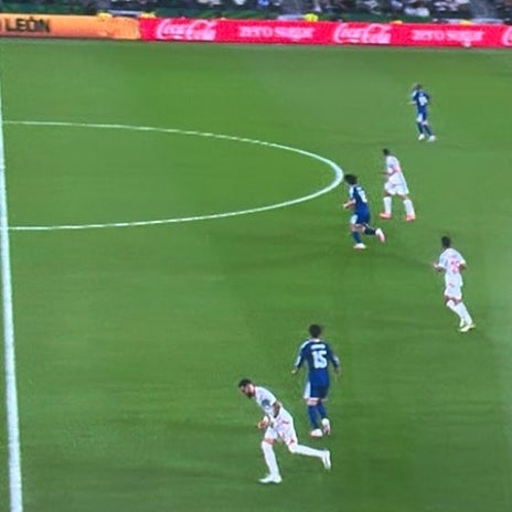 細川直美 W杯チュニジア戦の観戦の画像