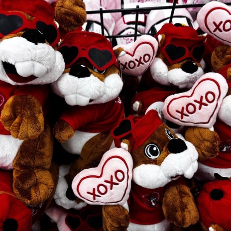 後悔した可愛すぎるぬいぐるみの画像