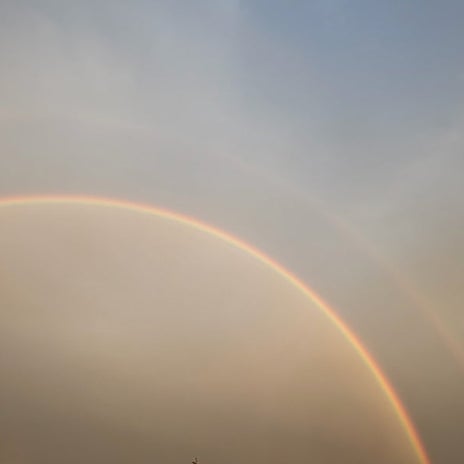 細川直美 ダブルレインボーに感動の画像