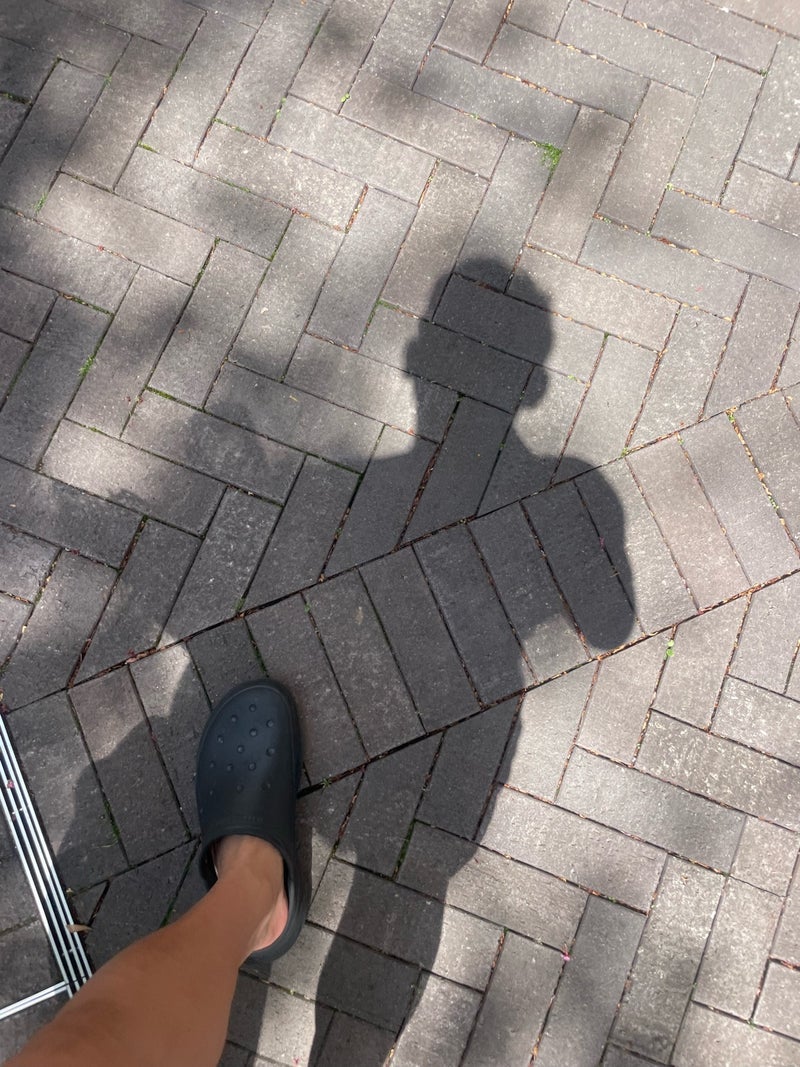 市川團十郎 病院での点滴の日の画像