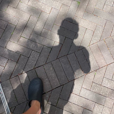 市川團十郎 病院での点滴の日の画像