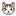 [ネコ]