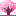 [桜]